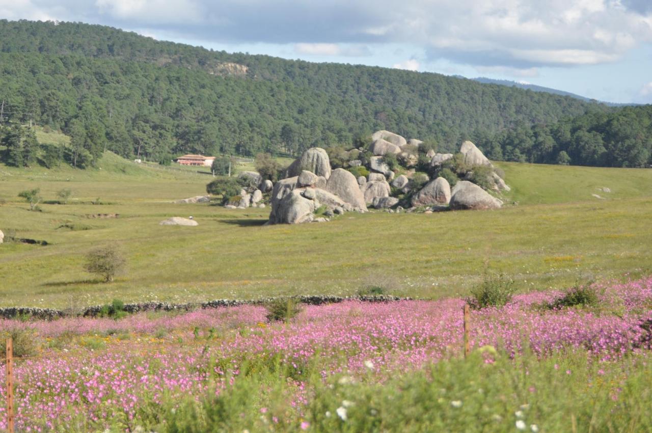 Hotel La Casona Tapalpa Eksteriør bilde