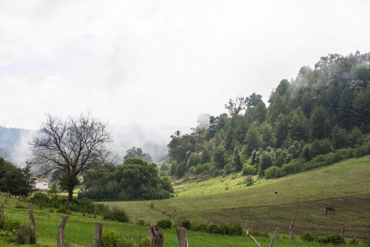 Hotel La Casona Tapalpa Eksteriør bilde